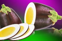 Eggplant